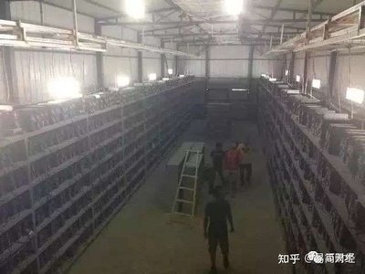 Mining Farm Operations