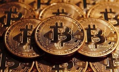 A cutting-edge mining farm utilizing eco-friendly hosting techniques