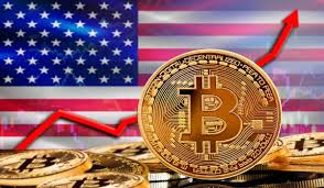 Bitcoin price fluctuations